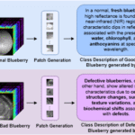 Label Semantics for Robust Hyperspectral Image Classification