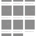 Mixed species flocking for heterogeneous robotic swarms