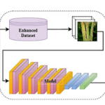 Towards Sustainable Agriculture: A Novel Approach for Rice Leaf Disease Detection Using dCNN and Enhanced Dataset